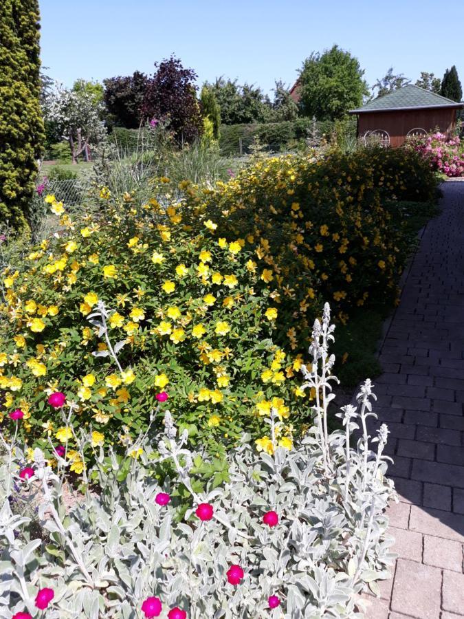 Ferienwohnung Ott Amelinghausen Exteriér fotografie